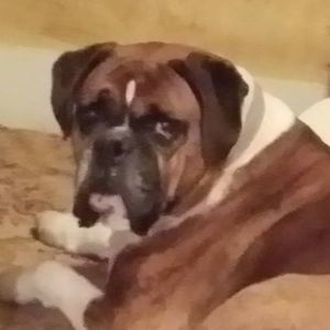 Meet your Posher, Ginny